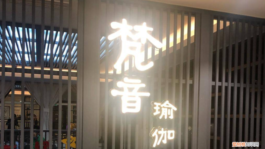 悠季瑜伽和梵音瑜伽哪个好