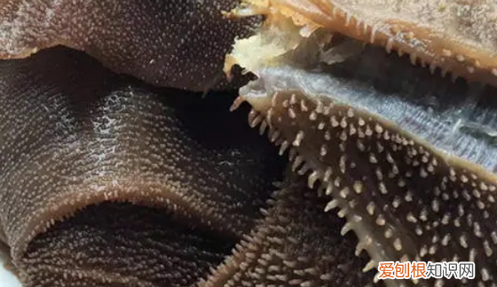 凉拌毛肚的做法，水发毛肚能吃吗