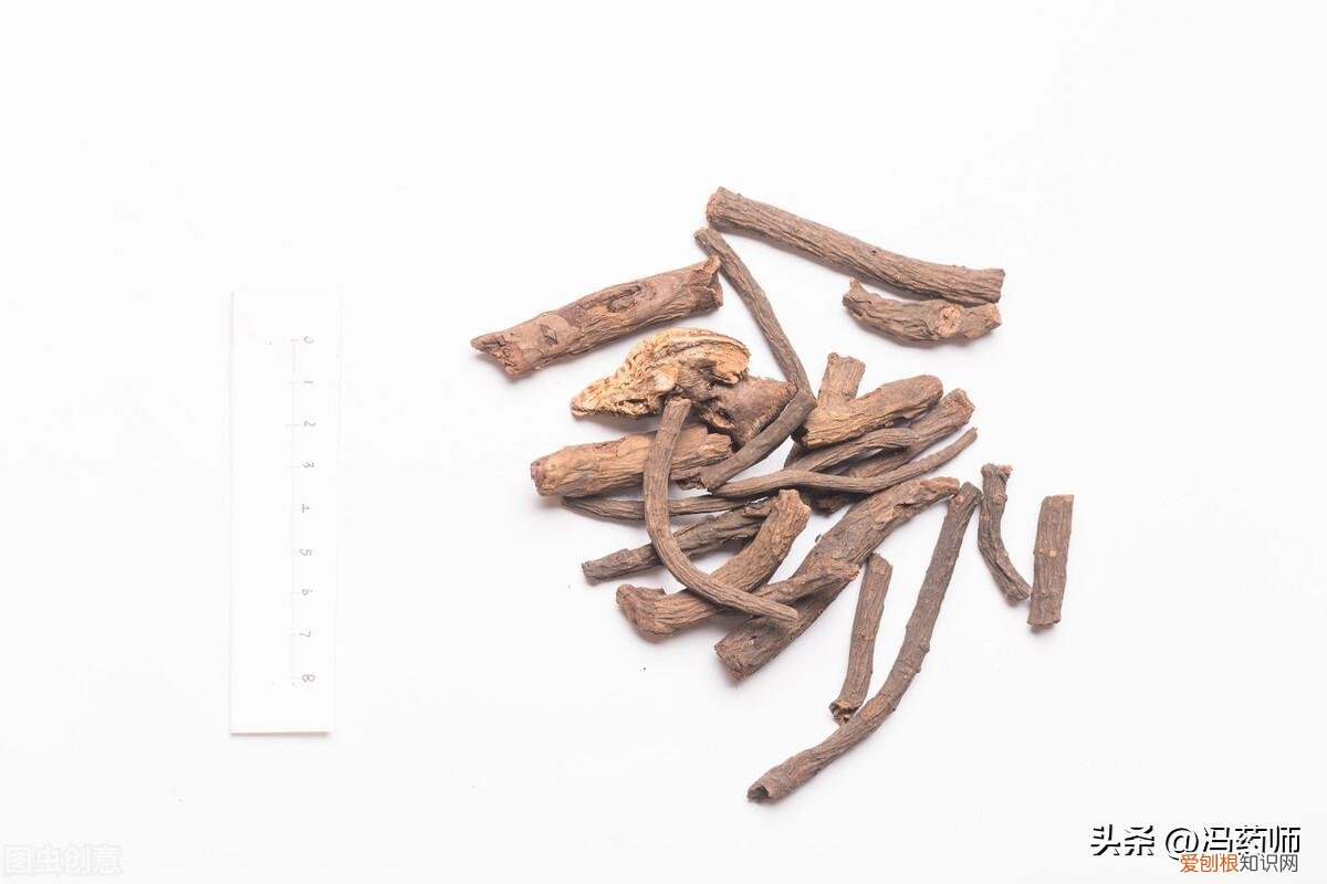 白芍的功效与作用