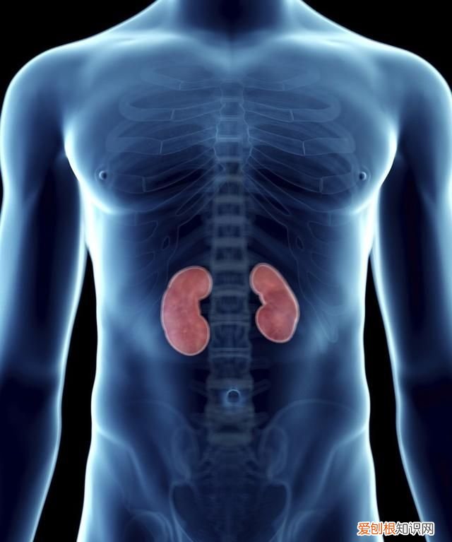 中医治疗尿毒症临床表现 尿毒症有哪些临床表现