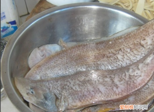 踏板鱼的做法，踏板鱼怎么做好吃又简单