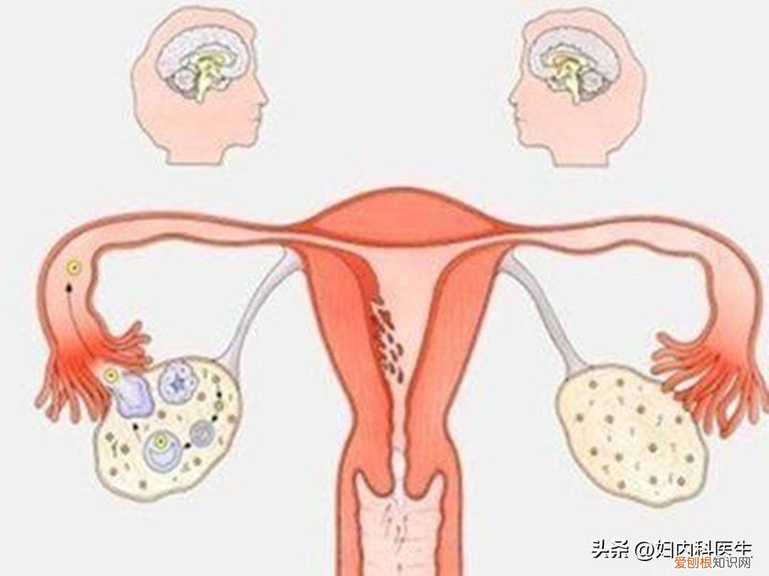 月经量少的原因都有哪些？