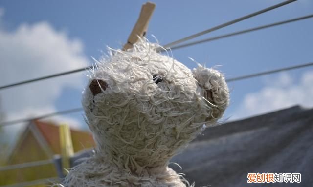 毛绒玩具的清洗方法