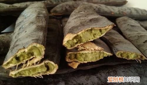 皂角刺的功效与作用,皂角树的用途有哪些