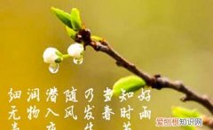 润物细无声的上一句古诗是什么