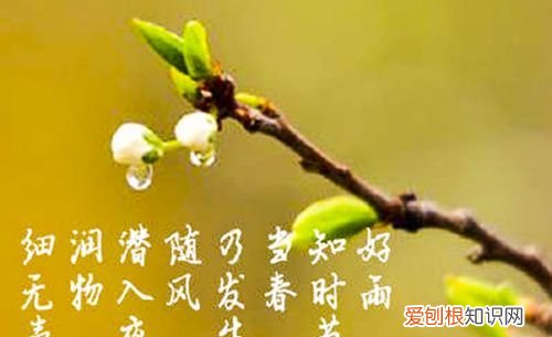 润物细无声的上一句古诗是什么