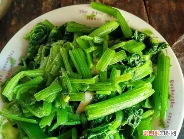 有种菜叶子很大叫什么