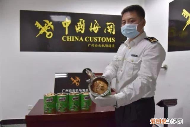 巧克力粉和可可粉的区别