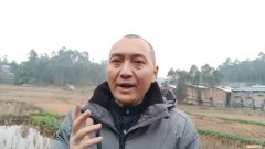 白萝卜叶子的功效与作用禁忌？