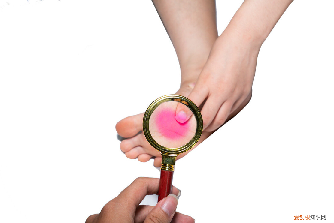 白萝卜叶子的功效与作用禁忌?