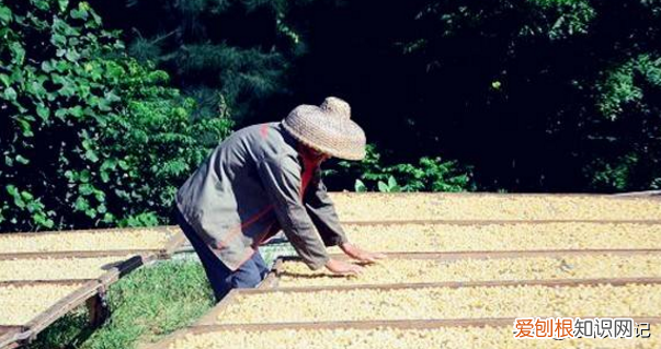 干贝粥的简单做法