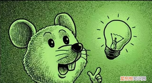 为什么老鼠越来越少见了