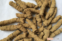 巴戟天的功效与作用