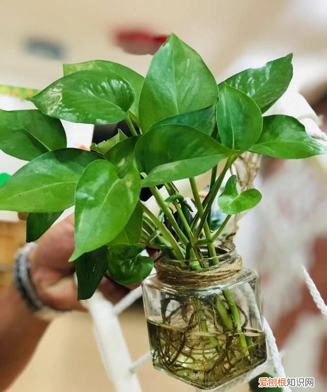 晚上睡觉要开窗通风吗