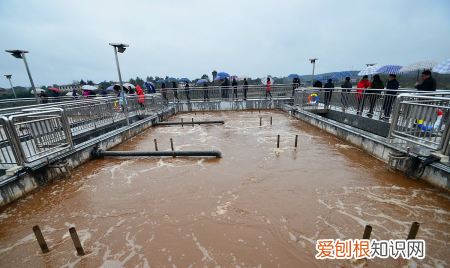 废水中的氨氮如何去除，废水中的氨氮用次氯酸钠可以去除吗