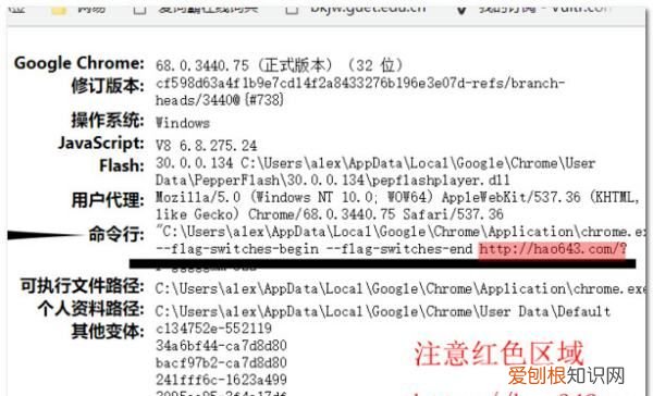 谷歌浏览器如何设置主页，该怎么才能设置谷歌浏览器的主页