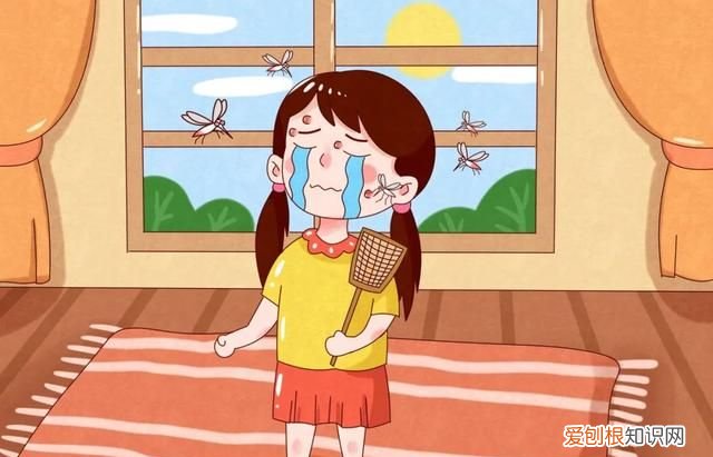 家里凭空冒出来的小飞虫是啥?有害吗