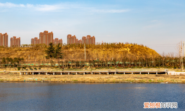 贾鲁河起源于哪里,贾鲁河滩蛋鸭是哪里的特产啊