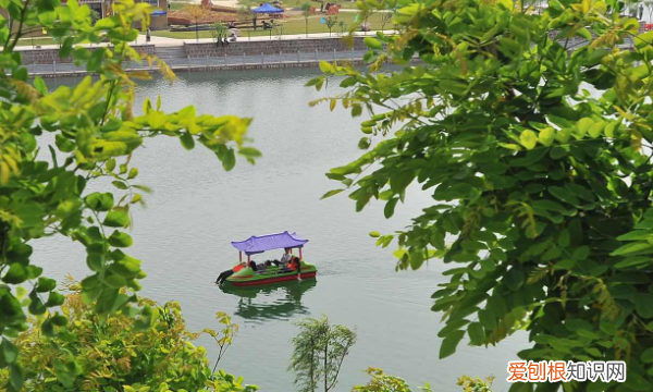 贾鲁河起源于哪里，贾鲁河滩蛋鸭是哪里的特产啊