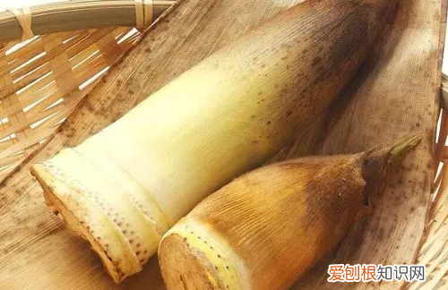 鲜竹笋怎么保存，简单实用新鲜竹笋保存方法