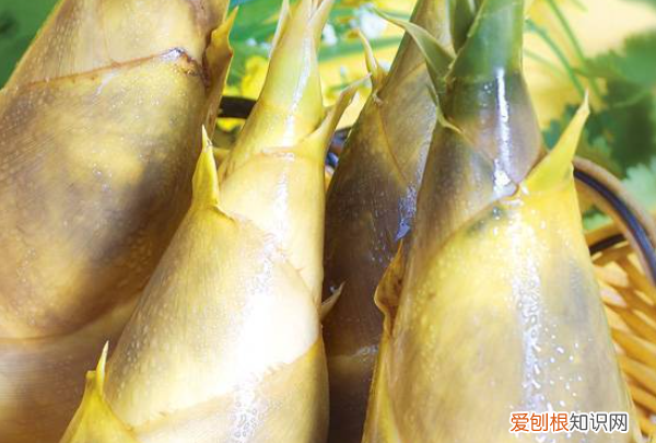 鲜竹笋怎么保存，简单实用新鲜竹笋保存方法