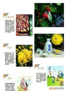 重阳节风俗有哪些，重阳节的习俗都有哪些