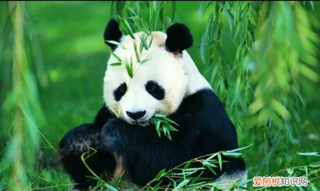 四川和重庆都在什么盆地