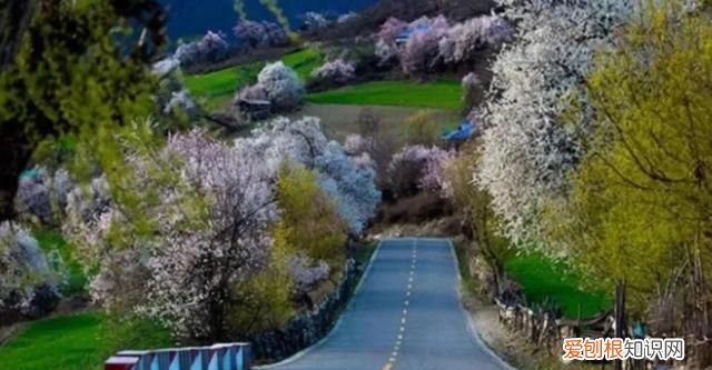 四川和重庆都在什么盆地