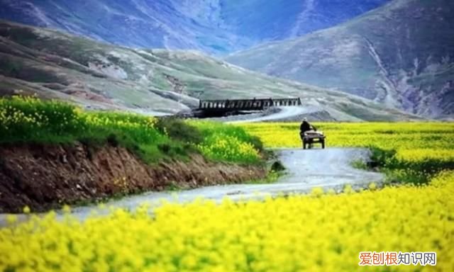 四川和重庆都在什么盆地