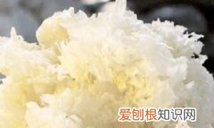 银耳的做法大全，凉拌银耳的做法大全