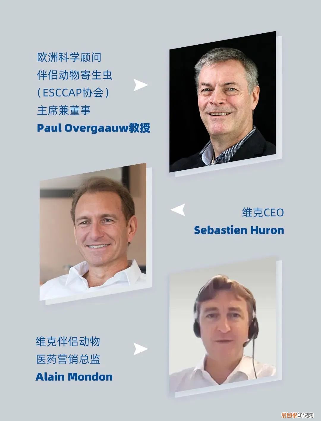 动保业务排名全球第六的维克，在中国上新两款驱虫产品