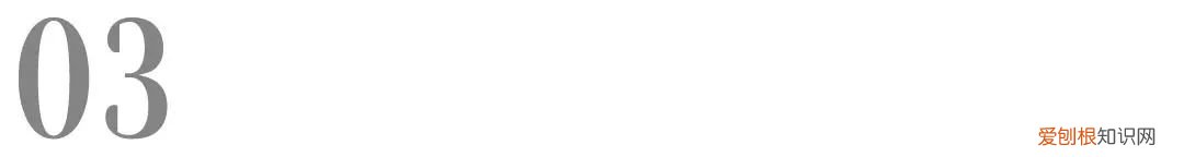 动保业务排名全球第六的维克，在中国上新两款驱虫产品