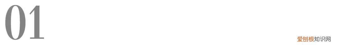 动保业务排名全球第六的维克，在中国上新两款驱虫产品