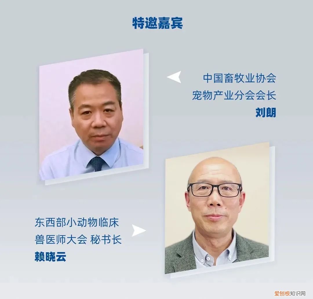 动保业务排名全球第六的维克，在中国上新两款驱虫产品