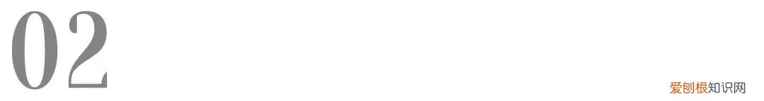 动保业务排名全球第六的维克，在中国上新两款驱虫产品