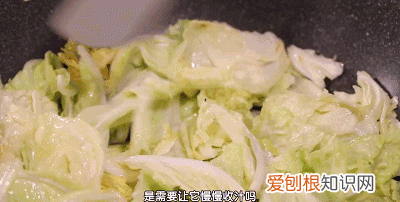 大白菜上的小黑点,到底是什么?能不能吃?