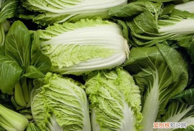 大白菜上的小黑点,到底是什么?能不能吃?