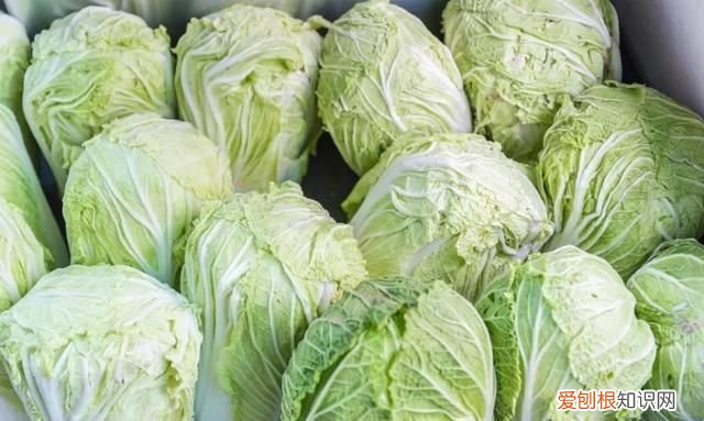 大白菜上的小黑点,到底是什么?能不能吃?