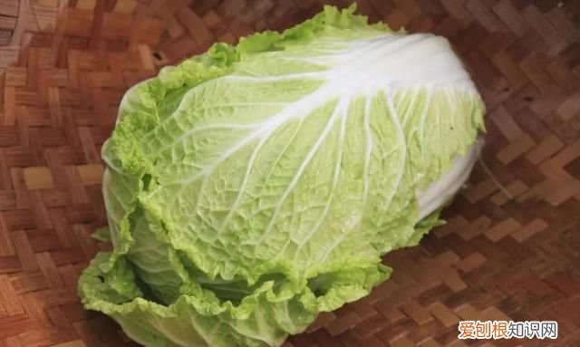 大白菜上的小黑点,到底是什么?能不能吃?