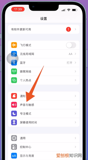 苹果怎么才能静音，iphone怎么静音关闭所有声音