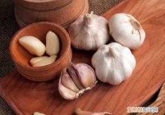 大蒜能放冰箱保存吗，大蒜头可以放冰箱里保存