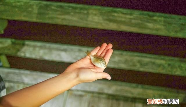 摄影格式用jpg还是j十r