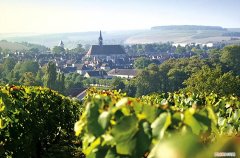 没喝过夏布利，就不算真正领悟霞多丽的精华