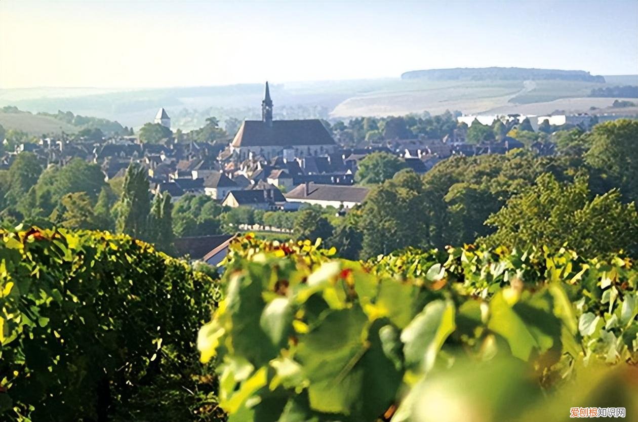 没喝过夏布利,就不算真正领悟霞多丽的精华