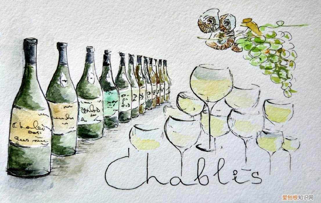 没喝过夏布利，就不算真正领悟霞多丽的精华