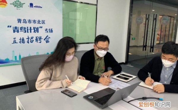 青鸟计划怎么报名,青鸟计划省外可以报名吗?