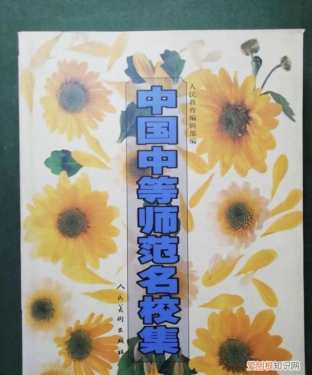 中师的题怎么样,有关中师的书