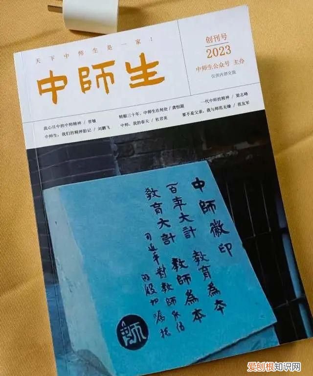 中师的题怎么样,有关中师的书