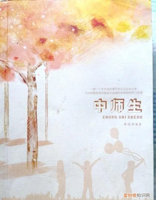 中师的题怎么样,有关中师的书