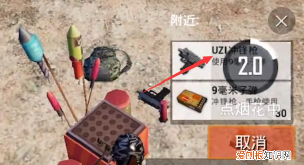 和平精英怎么放烟花,和平精英动物园怎么扔雪球